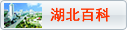 湖北百科