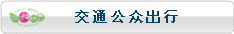 交通公众出行