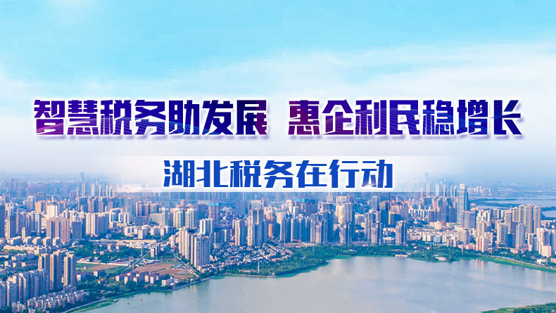智慧税务 惠企利民
