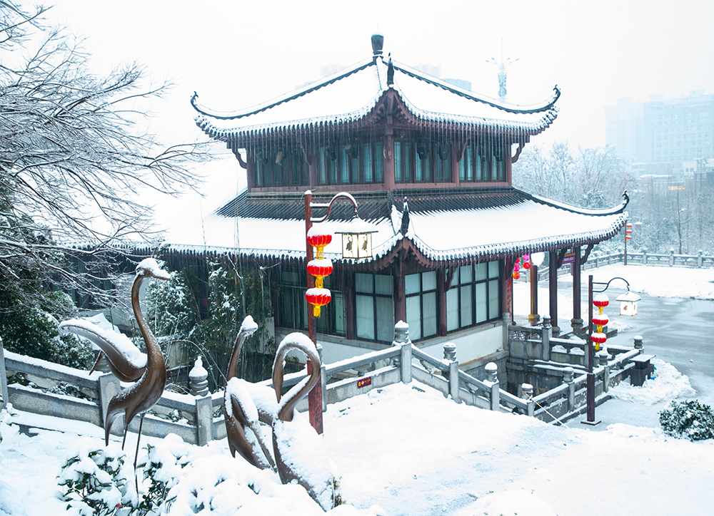 黄泥街 残雪著 白水社 微信读书